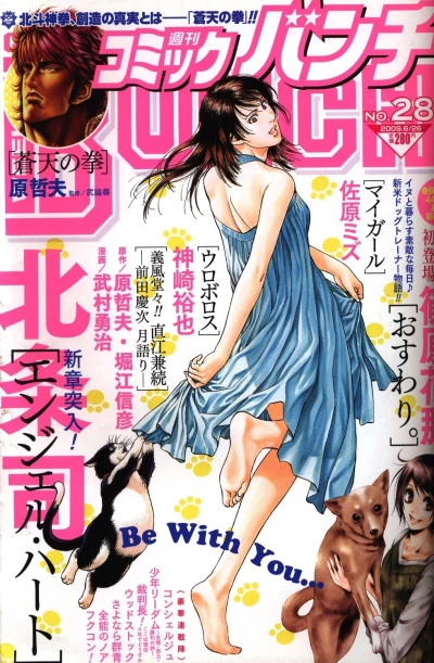 Cover of No. 28, 2009