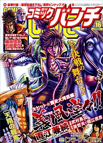 Cover of No. 16, 2010
