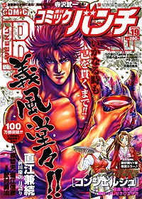 Cover of No. 19, 2010