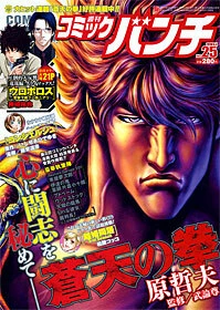 Cover of No. 25, 2010