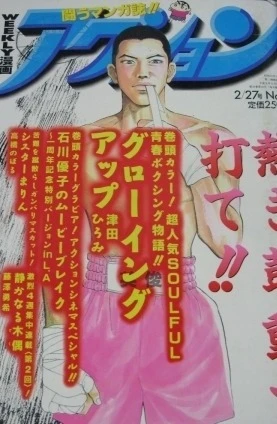 Cover of No. 8, 1996