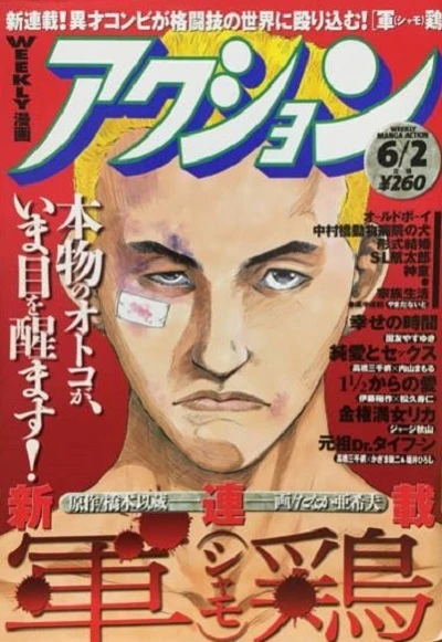 Cover of No. 22, 1998
