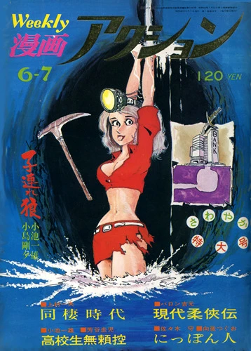 Cover of No. 22, 1973