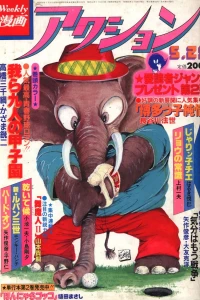 No. 21, 1981