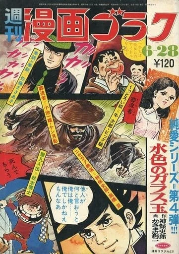 Cover of Volume #221