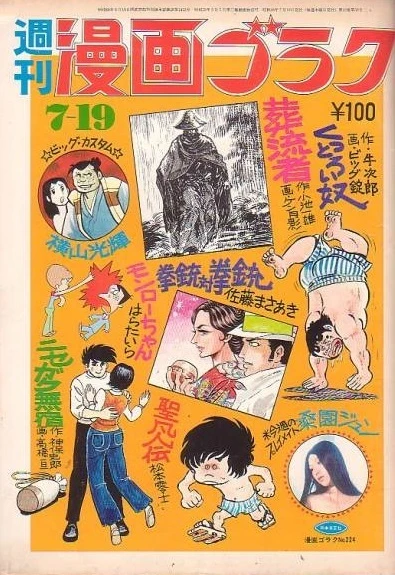Cover of Volume #224