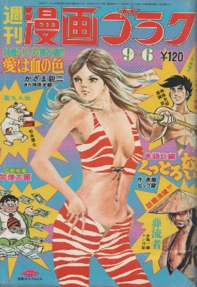 Cover of Volume #233