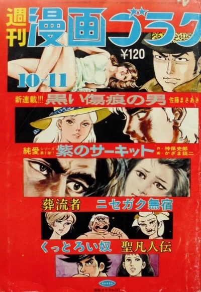 Cover of Volume #239