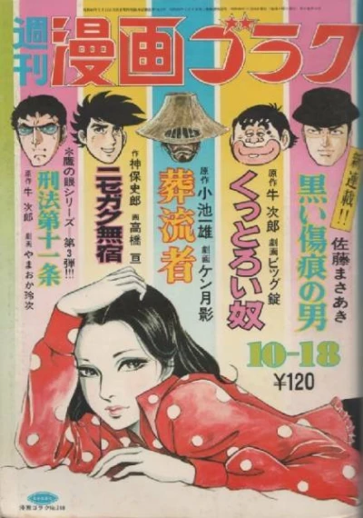 Cover of Volume #240