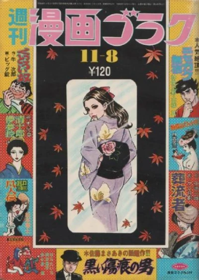 Cover of Volume #244