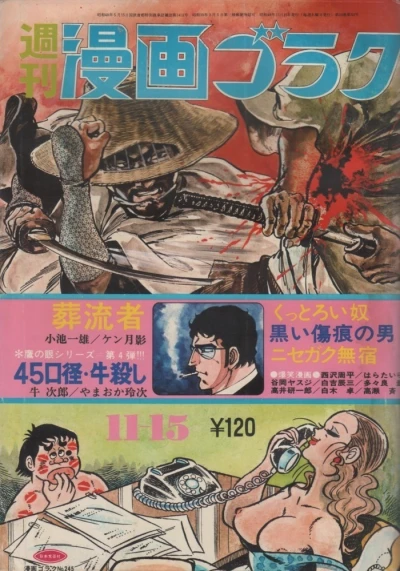 Cover of Volume #245
