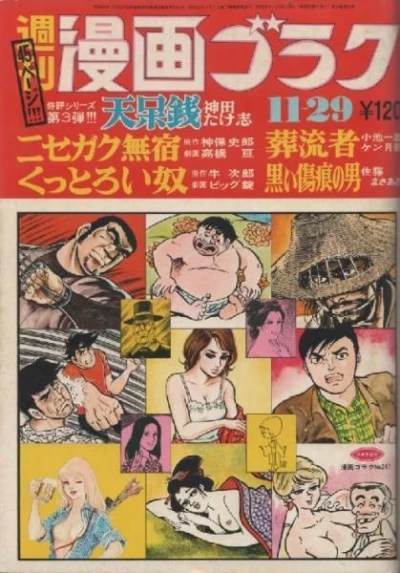 Cover of Volume #247
