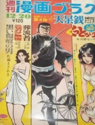 Cover of Volume #251