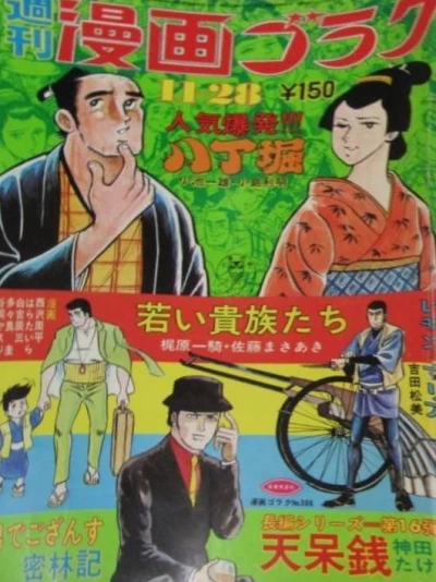 Cover of Volume #306