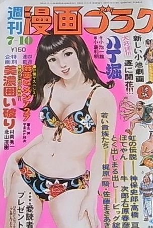 Cover of Volume #345