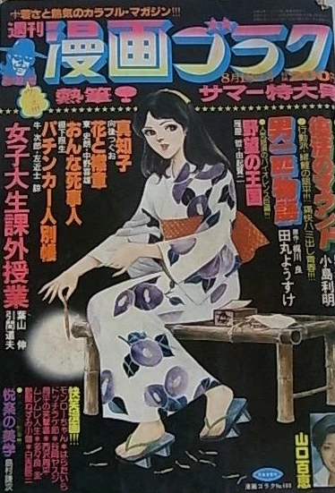 Cover of Volume #480