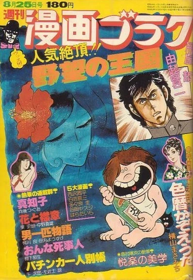 Cover of Volume #482