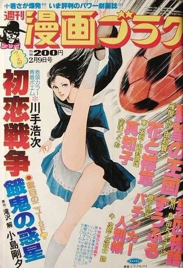 Cover of Volume #516