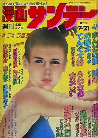 Cover of No. 27, 1981