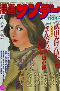 No. 45, 1981