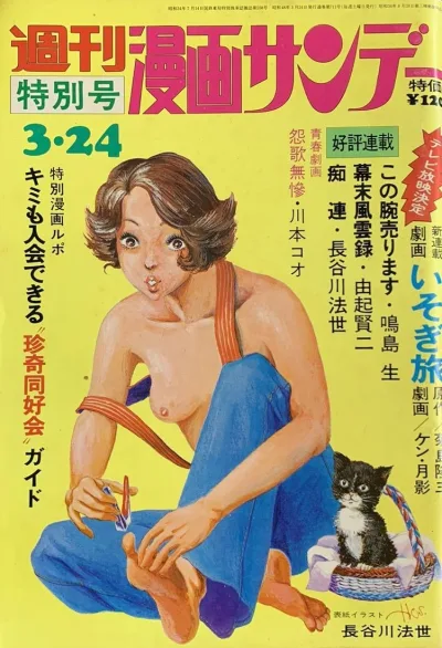 Cover of No. 12, 1973