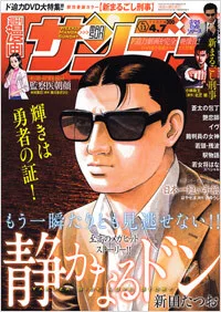Cover of No. 13, 2009