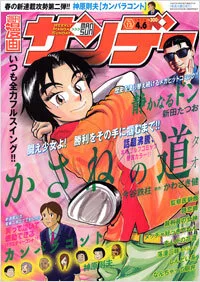 Cover of No. 13, 2010