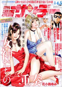 Cover of No. 13, 2011