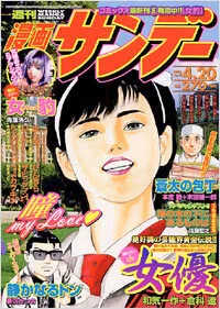 Cover of No. 15, 2004