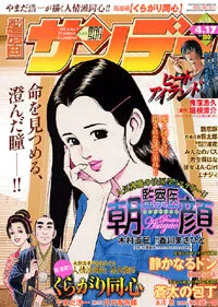 Cover of No. 15, 2007