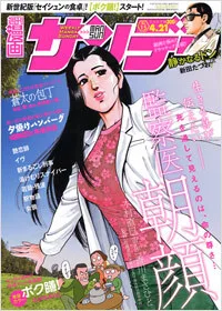 Cover of No. 15, 2009