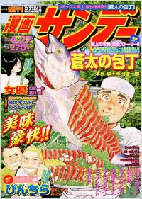 Cover of No. 16, 2004