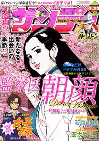 Cover of No. 16, 2008