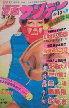 Cover of No. 17, 1977