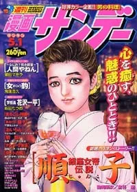Cover of No. 17, 2001