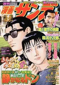 Cover of No. 17, 2003