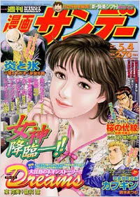 Cover of No. 17, 2004