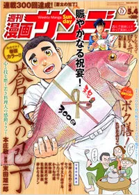 Cover of No. 17, 2010