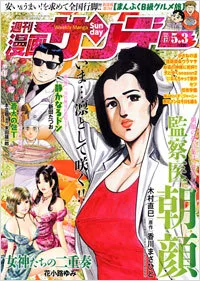 Cover of No. 17, 2011