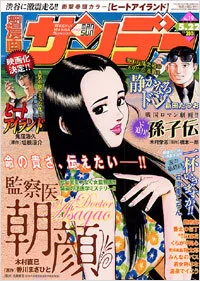 Cover of No. 19, 2007