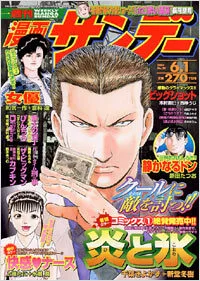 Cover of No. 20, 2004