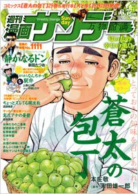 Cover of No. 21, 2011