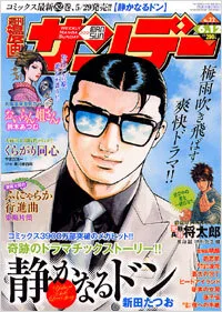Cover of No. 22, 2007