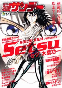 Cover of No. 22, 2010