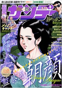 Cover of No. 23, 2009