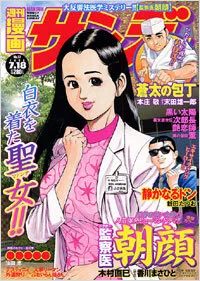 Cover of No. 27, 2006