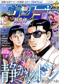 Cover of No. 27, 2008