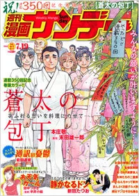 Cover of No. 27, 2011