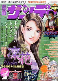 Cover of No. 28, 2007