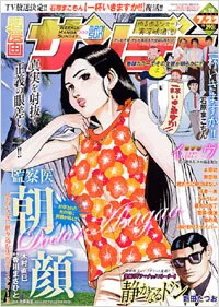Cover of No. 28, 2008